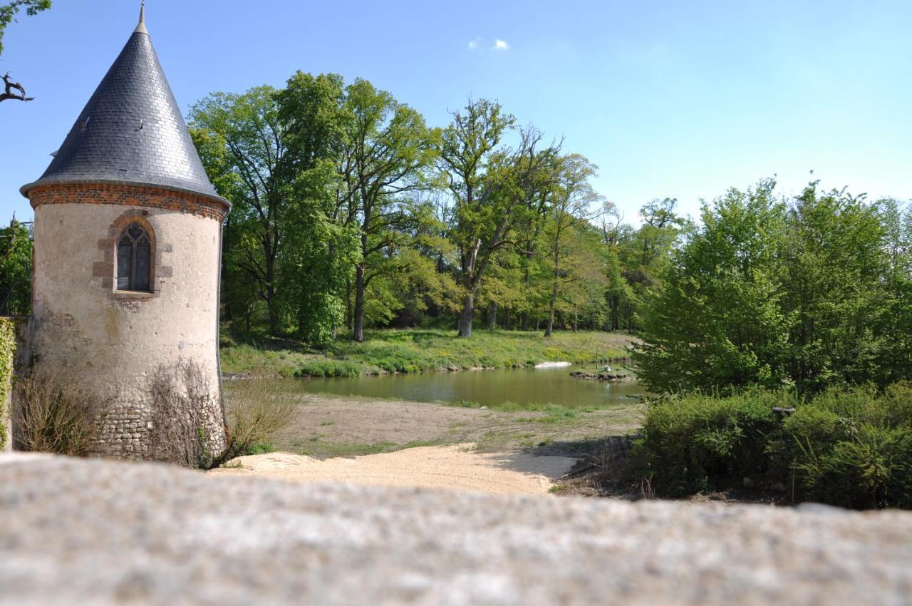 Chateau Origny - Moulins Bed and Breakfast Neuvy  Eksteriør billede